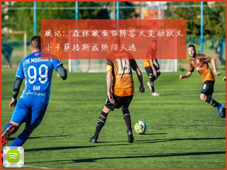 狼记：森林狼面临阵容大变动欧文小卡萨格斯成热门人选